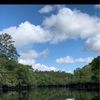 colin_causey